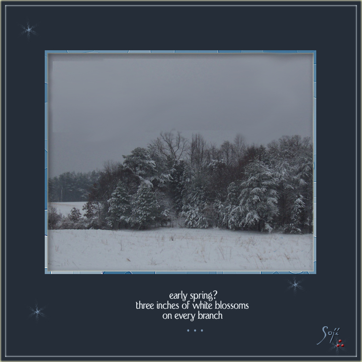 early-spring-photo-haiku