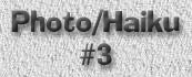 photo-haiku-3-title