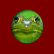 the-frog