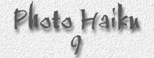 Photo-Haiku-title-#9