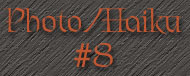 Photo-haiku-#8-title